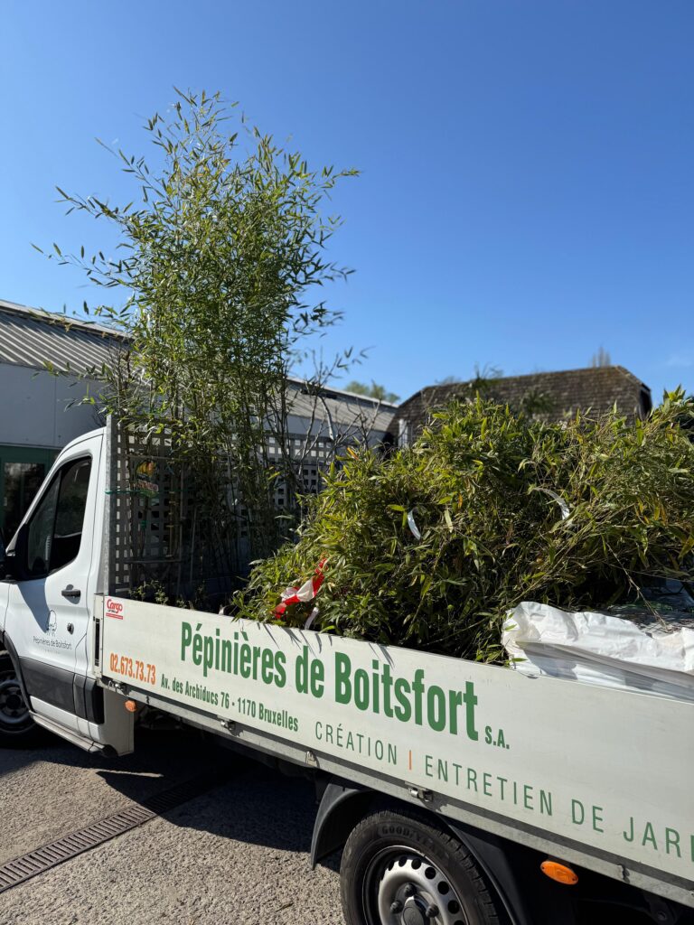 Pepiniere-de-boistfort_aménagement-exterieurs