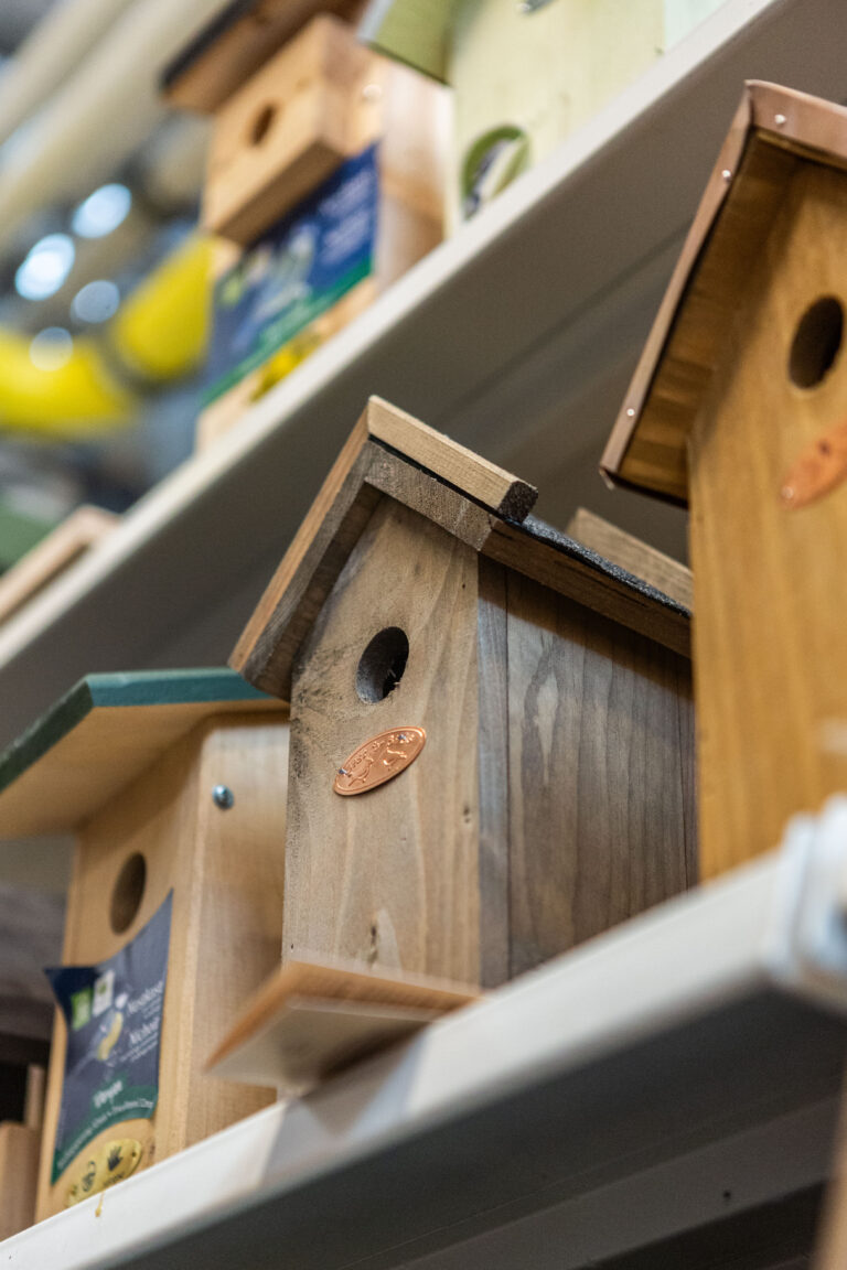 Pepinieres_Boitsfort-149