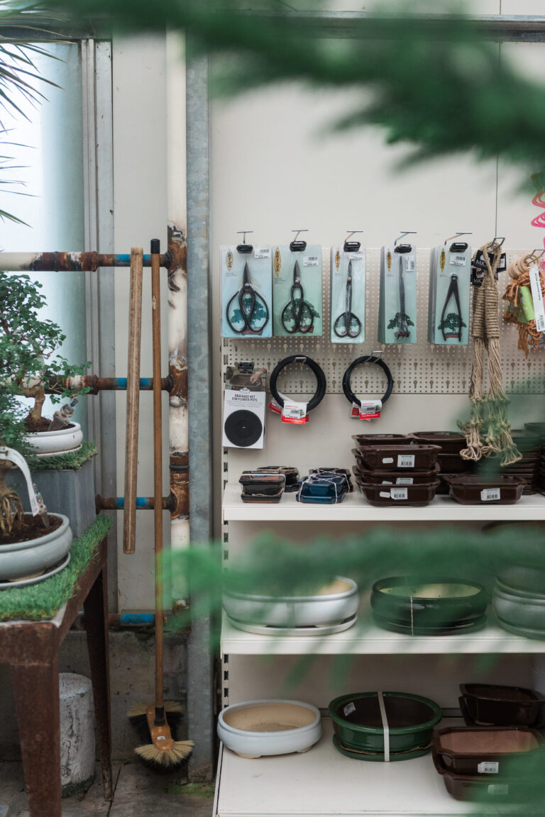 Pepinieres_Boitsfort-4