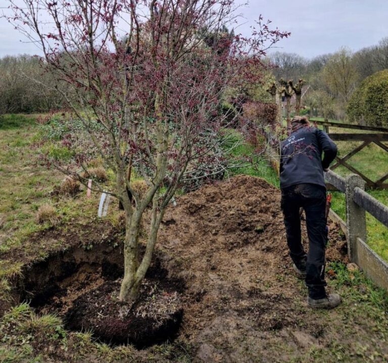 PHOTO-2026-04-03-10-34-15