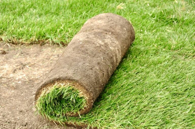 Rouleau-gazon-Pepinère-de-Boitsfort