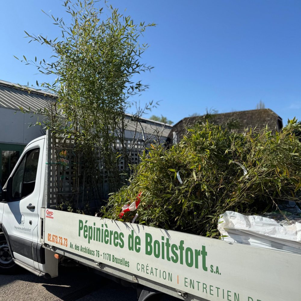 Pepiniere-de-boistfort_aménagement-exterieurs