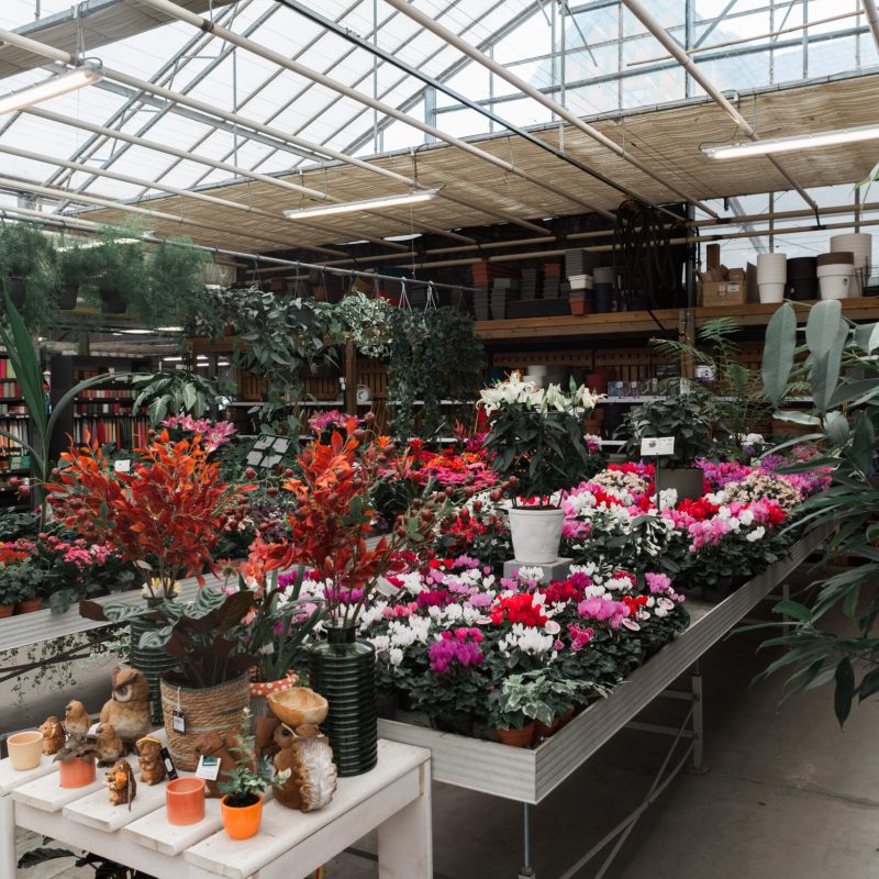 Pepinieres_Boitsfort-51