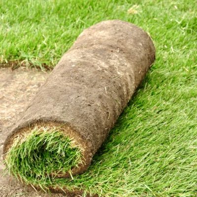 Rouleau-gazon-Pepinère-de-Boitsfort