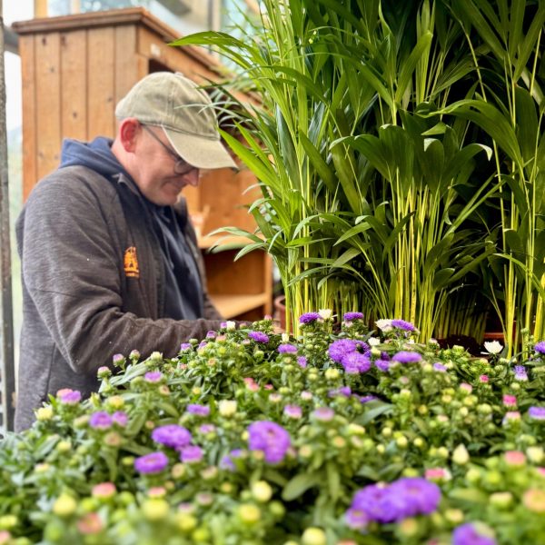 WhatsApp Image 2025-11-03 at 12.20.04 (3)