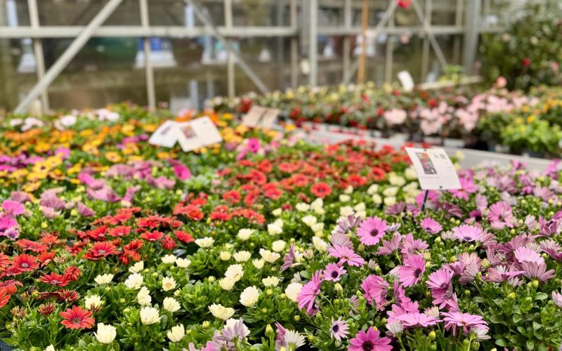 WhatsApp Image 2025-11-03 at 12.32.09 (4)